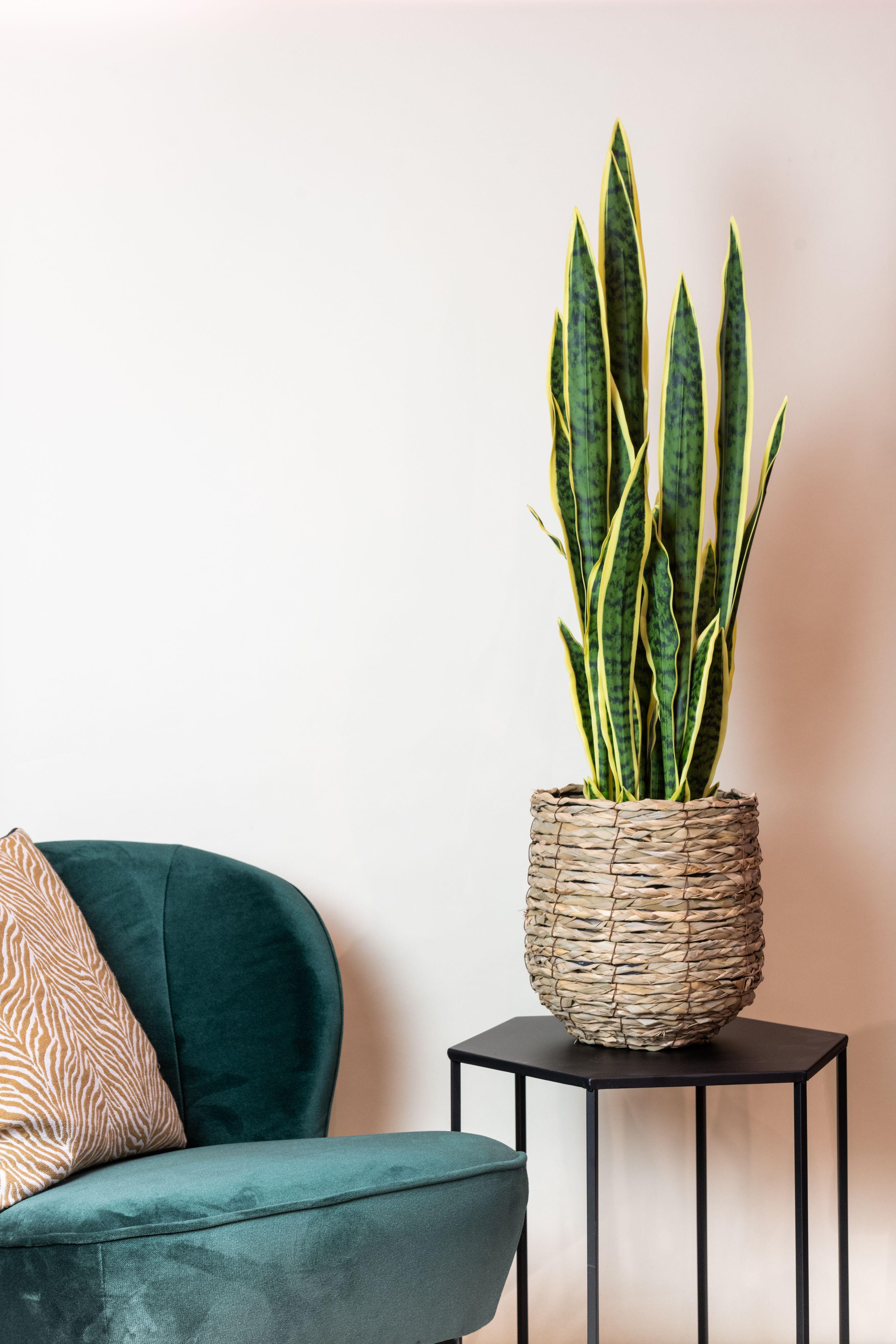 Kunstplant en pot. Plante verte type Kunstplant, livrée en pot, idéale pour intérieur lumineux. – Image 3