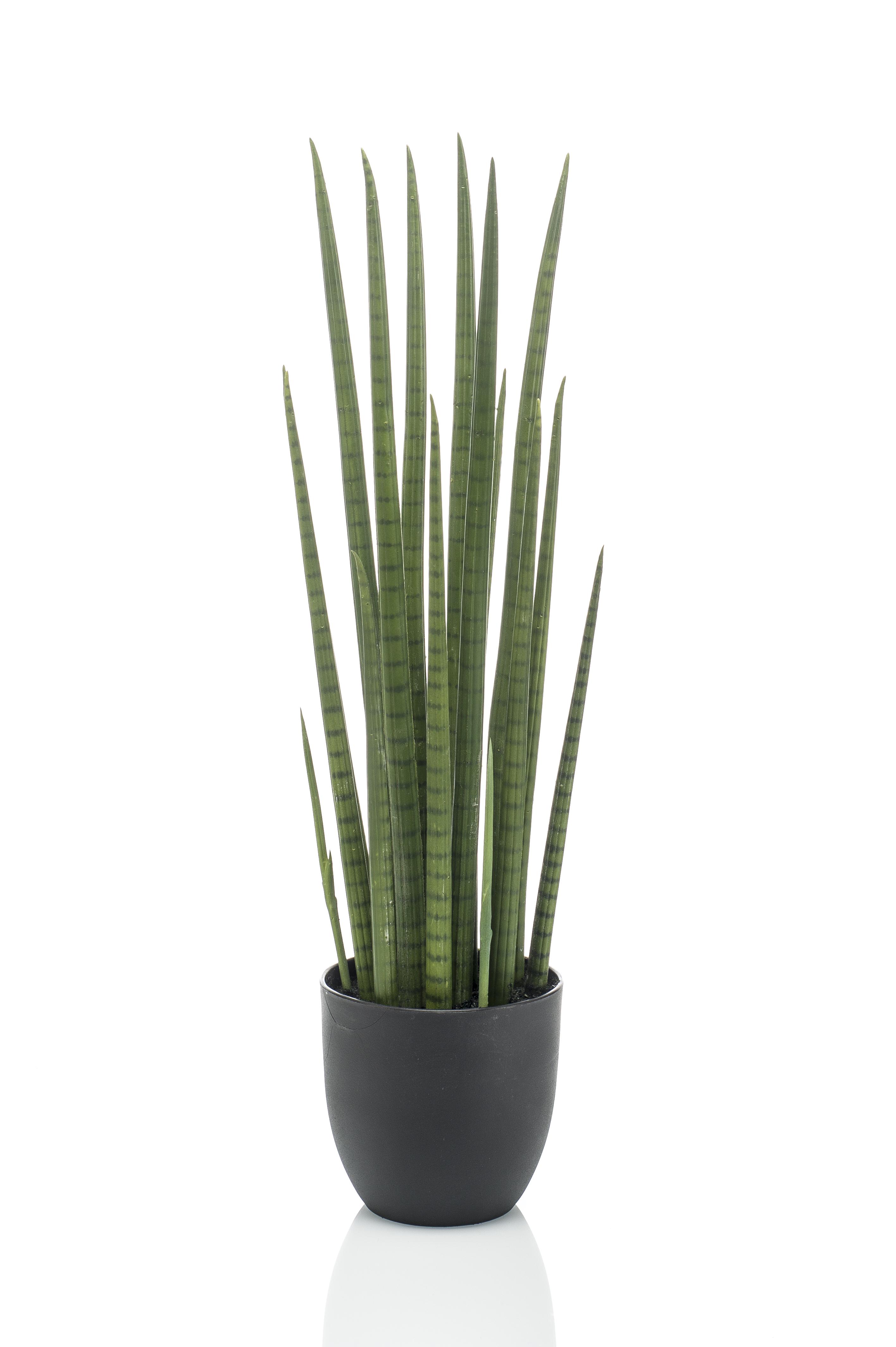 Kunstplant en pot. Plante verte type Kunstplant, livrée en pot, idéale pour intérieur lumineux. – Image 4