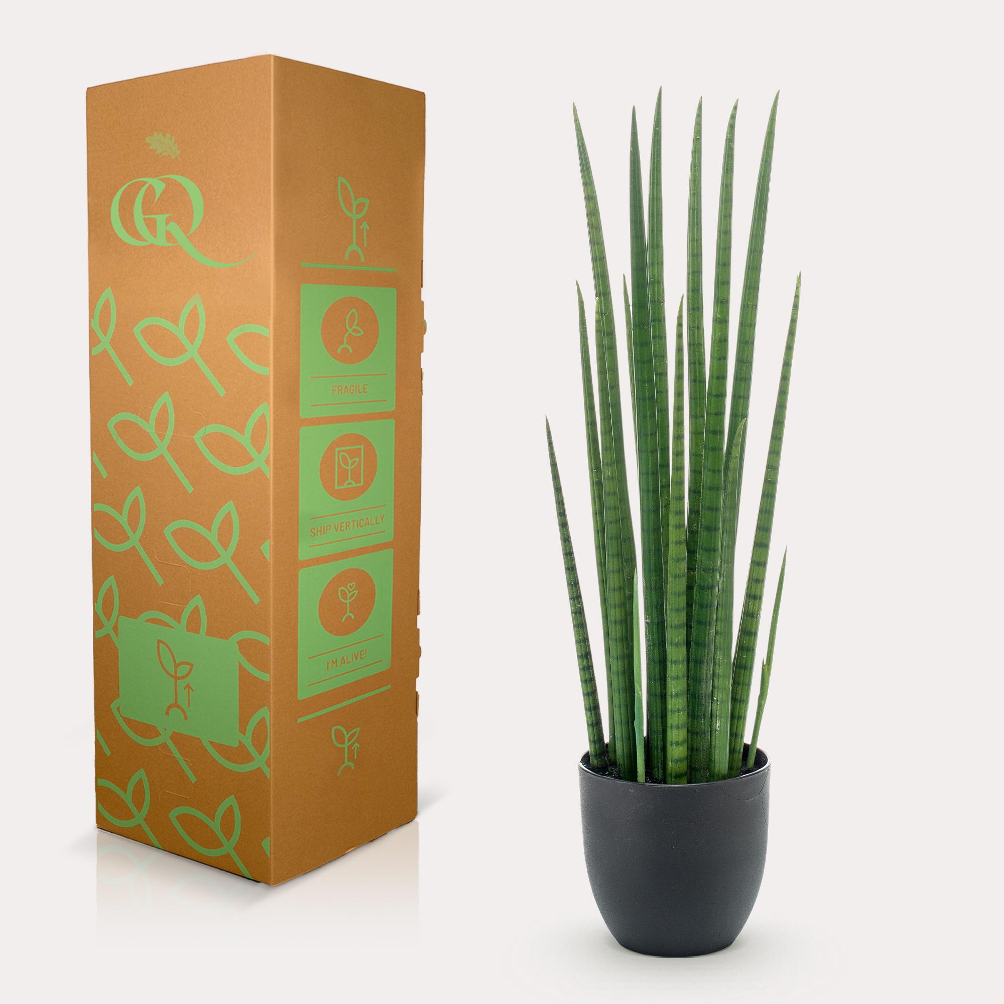 Kunstplant en pot. Plante verte type Kunstplant, livrée en pot, idéale pour intérieur lumineux. – Image 5