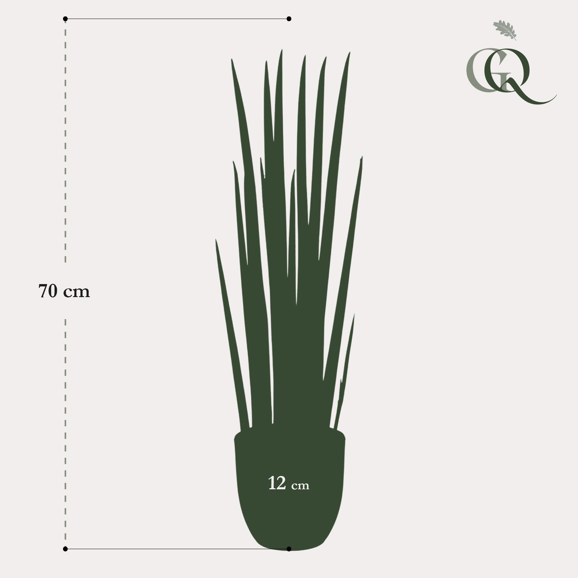 Kunstplant en pot. Plante verte type Kunstplant, livrée en pot, idéale pour intérieur lumineux. – Image 6