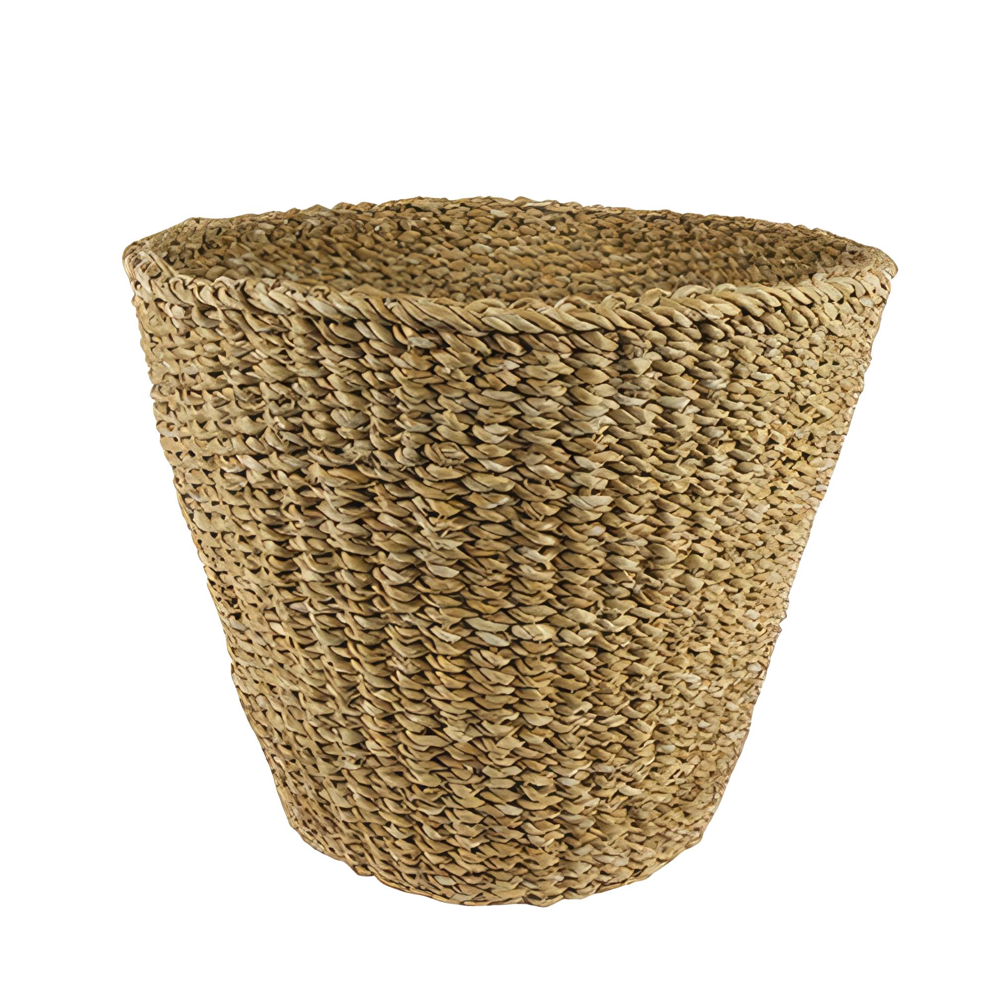 Mand en pot  Hauteur 31cm. Plante verte type Mand, livrée en pot, idéale pour intérieur lumineux.