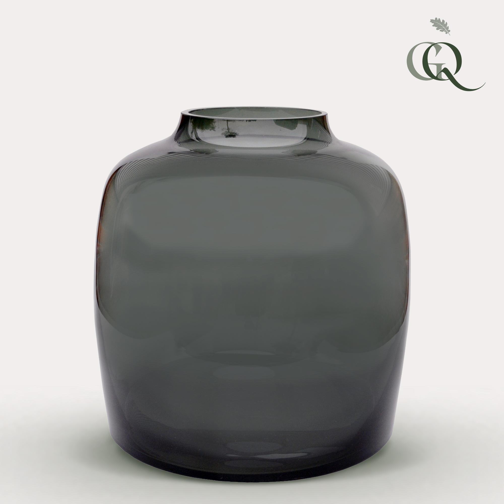 Vaas glas en pot  Hauteur 25cm. Plante verte type Vaas glas, livrée en pot, idéale pour intérieur lumineux.