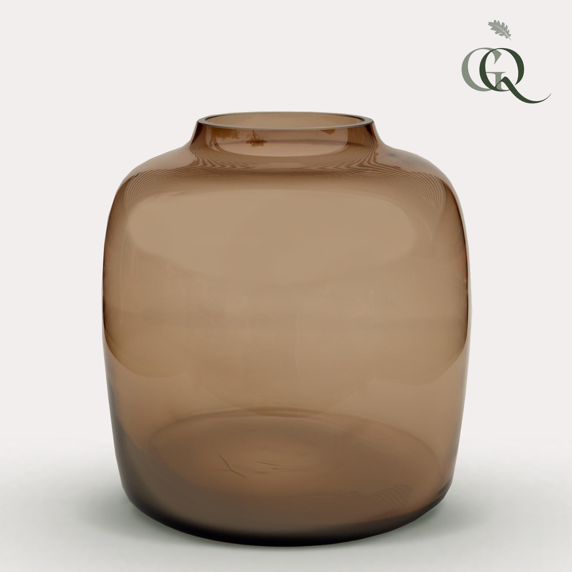 Vaas glas en pot  Hauteur 25cm. Plante verte type Vaas glas, livrée en pot, idéale pour intérieur lumineux.