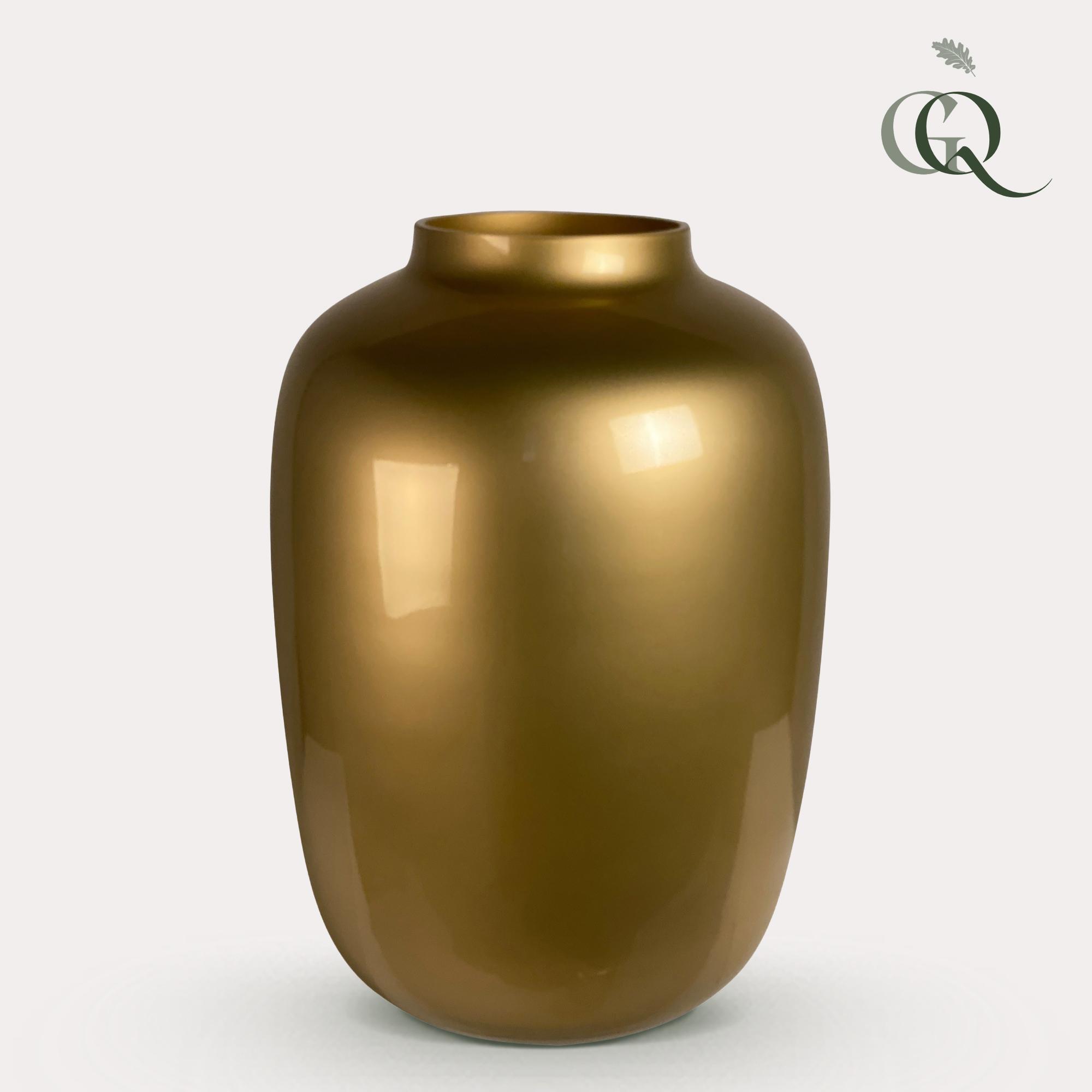 Vaas glas en pot  Hauteur 35cm. Plante verte type Vaas glas, livrée en pot, idéale pour intérieur lumineux.