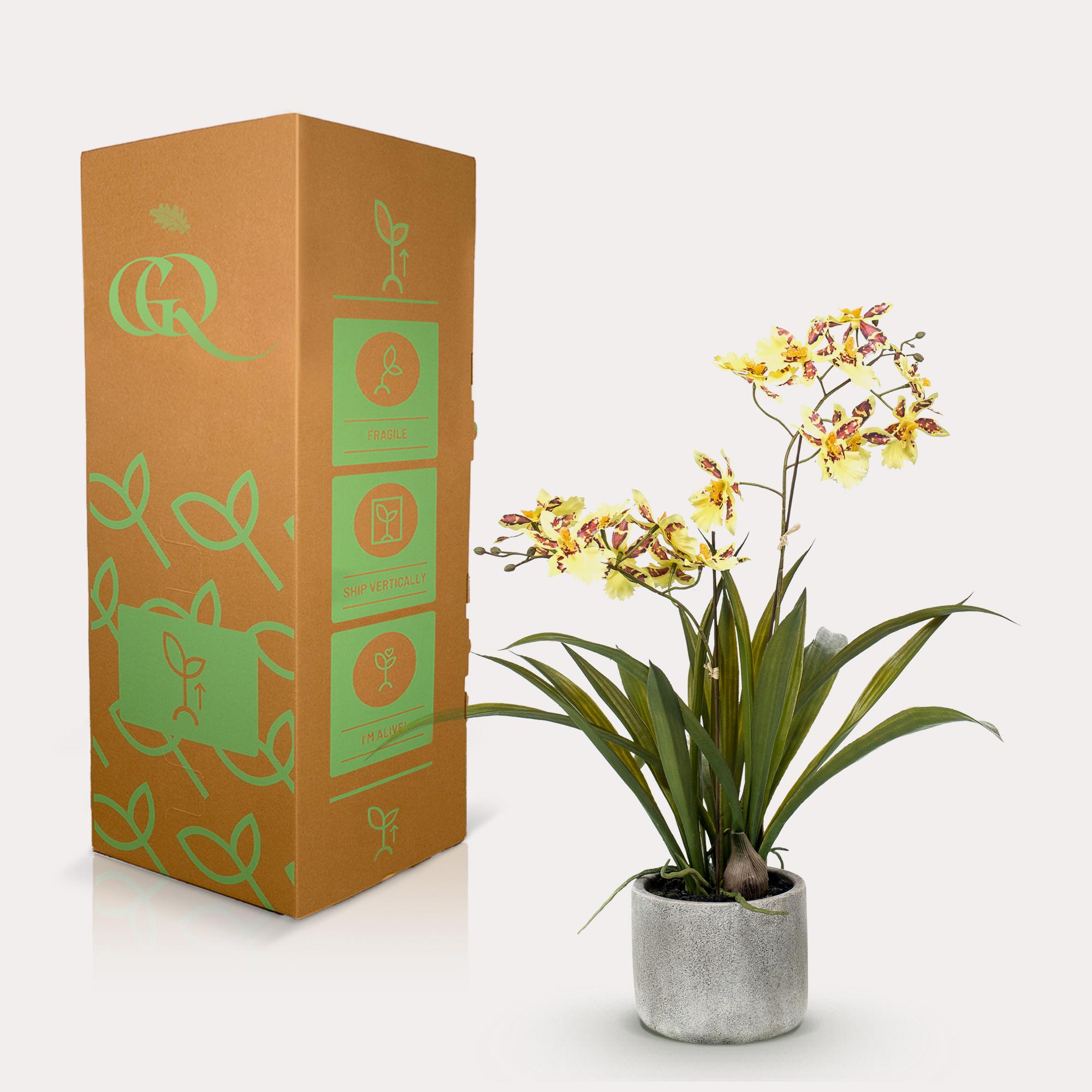 Kunstplant en pot. Plante verte type Kunstplant, livrée en pot, idéale pour intérieur lumineux. – Image 4