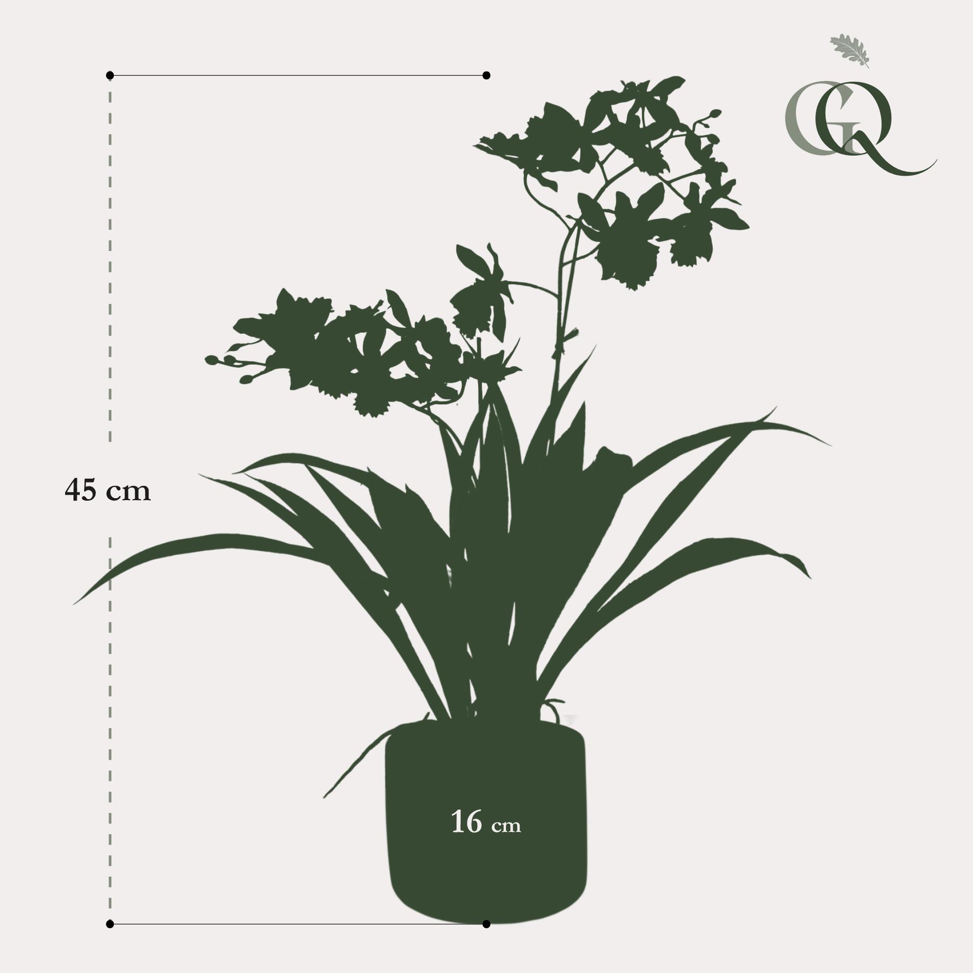 Kunstplant en pot. Plante verte type Kunstplant, livrée en pot, idéale pour intérieur lumineux. – Image 5