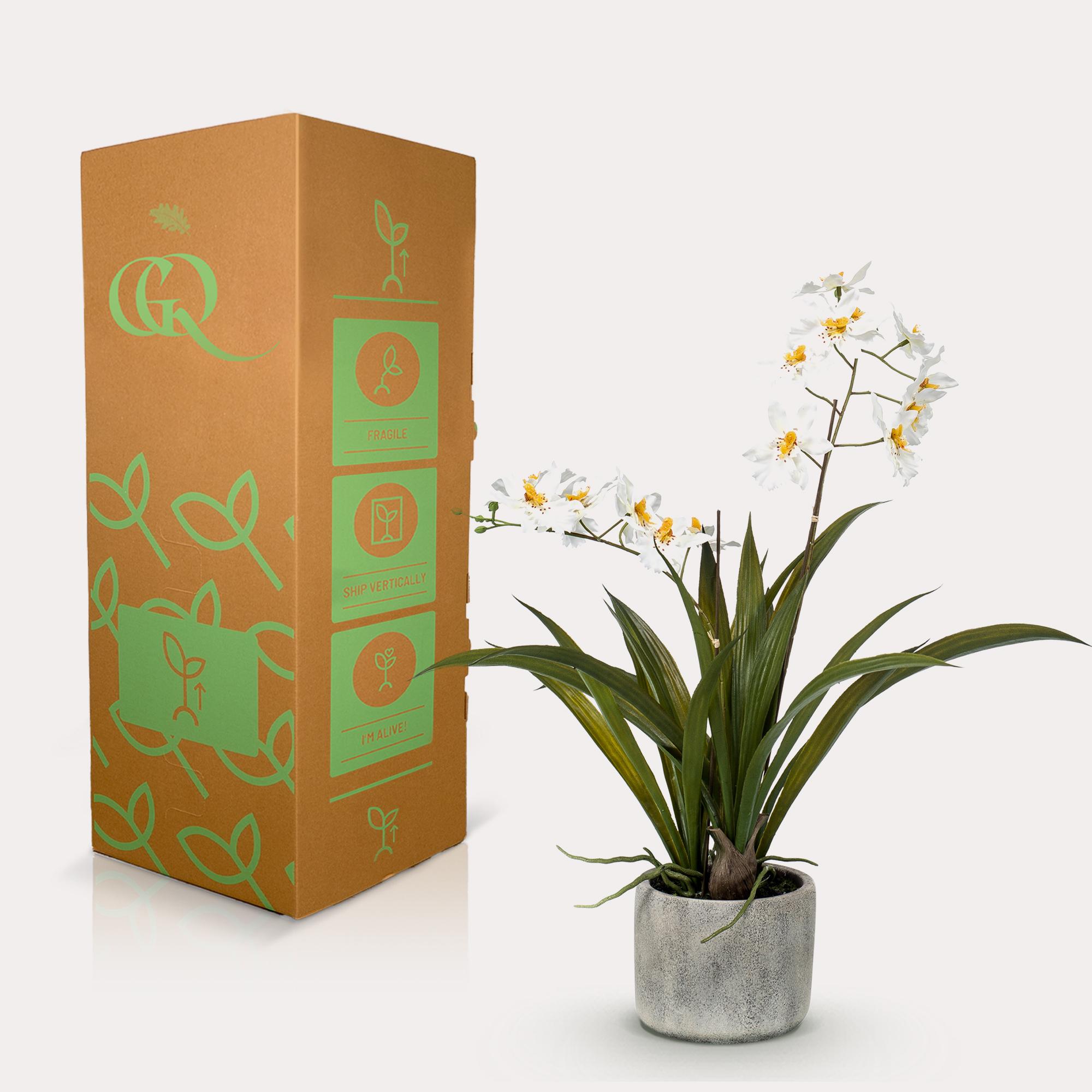 Kunstplant en pot. Plante verte type Kunstplant, livrée en pot, idéale pour intérieur lumineux. – Image 3