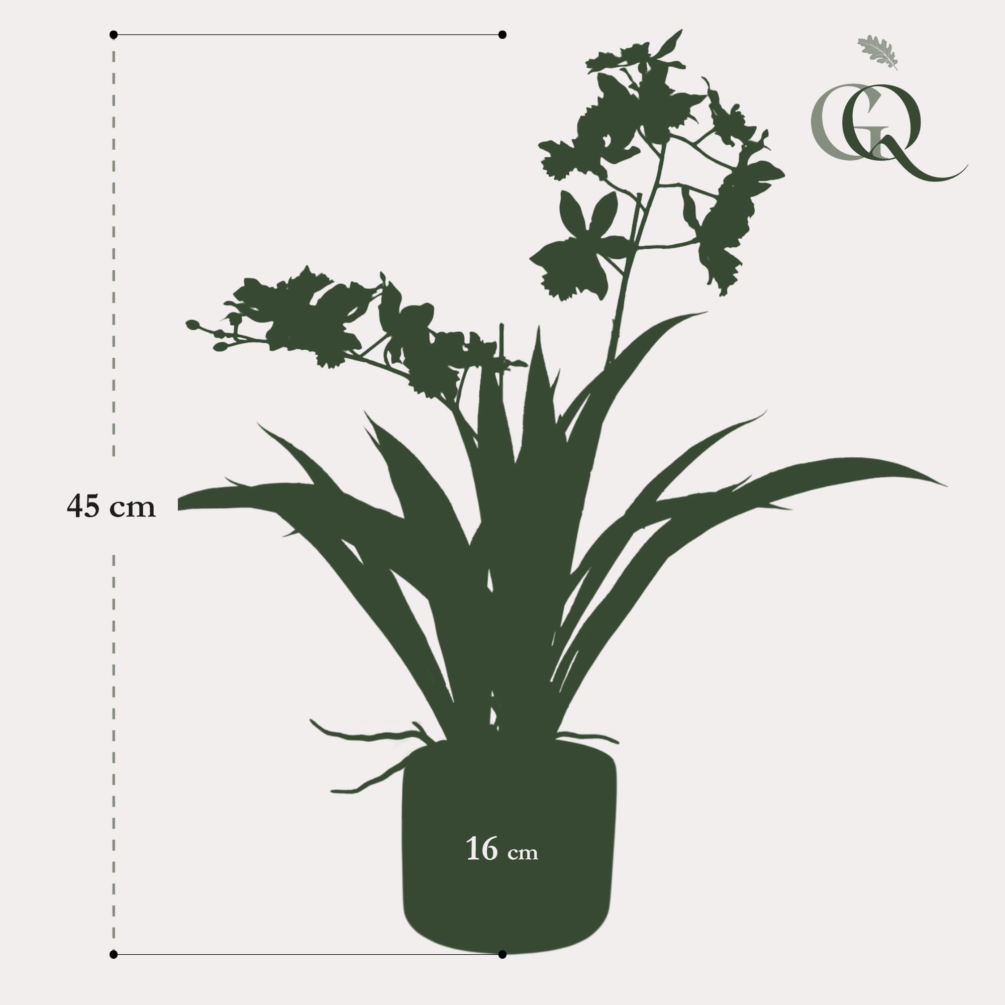 Kunstplant en pot. Plante verte type Kunstplant, livrée en pot, idéale pour intérieur lumineux. – Image 4