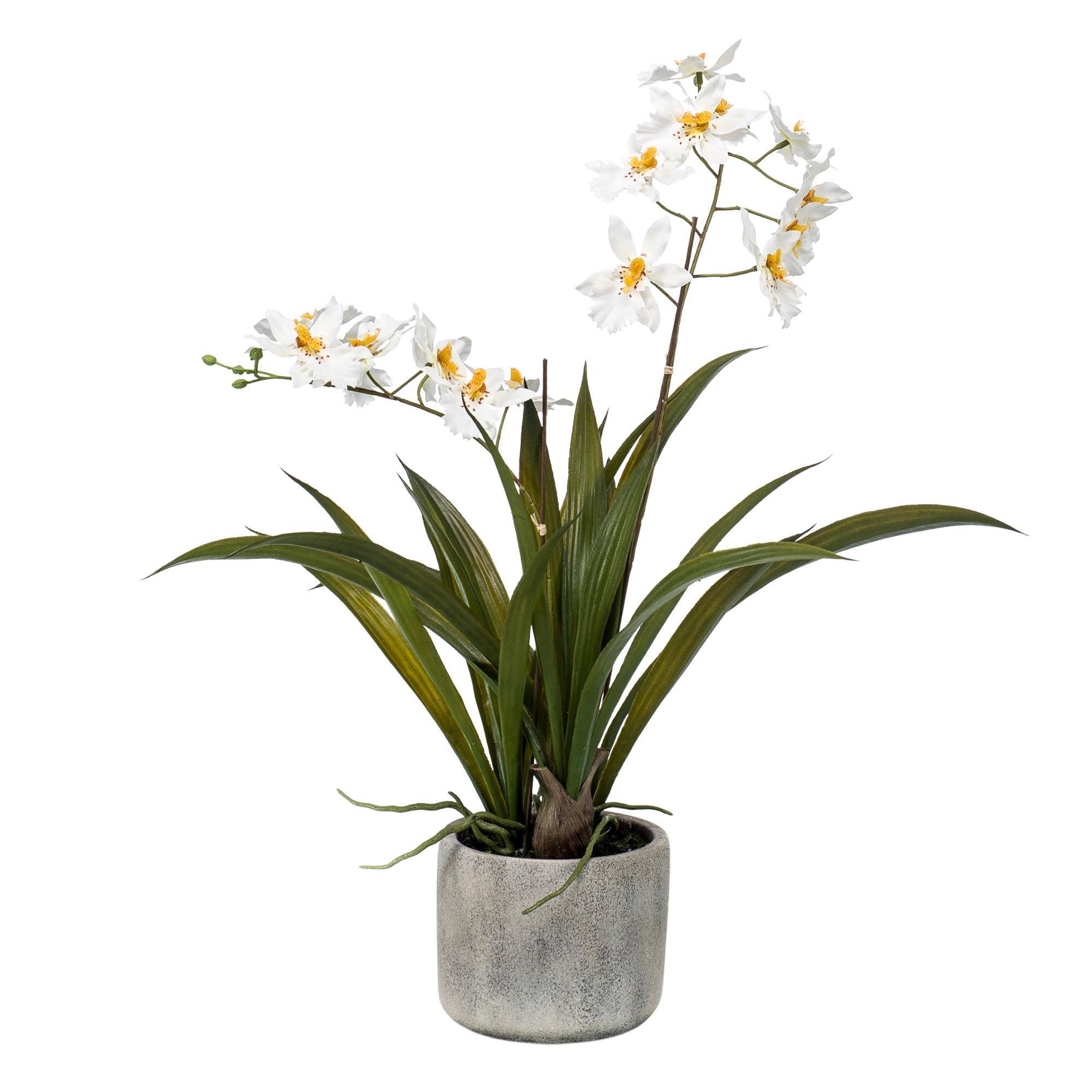 Kunstplant en pot. Plante verte type Kunstplant, livrée en pot, idéale pour intérieur lumineux. – Image 5
