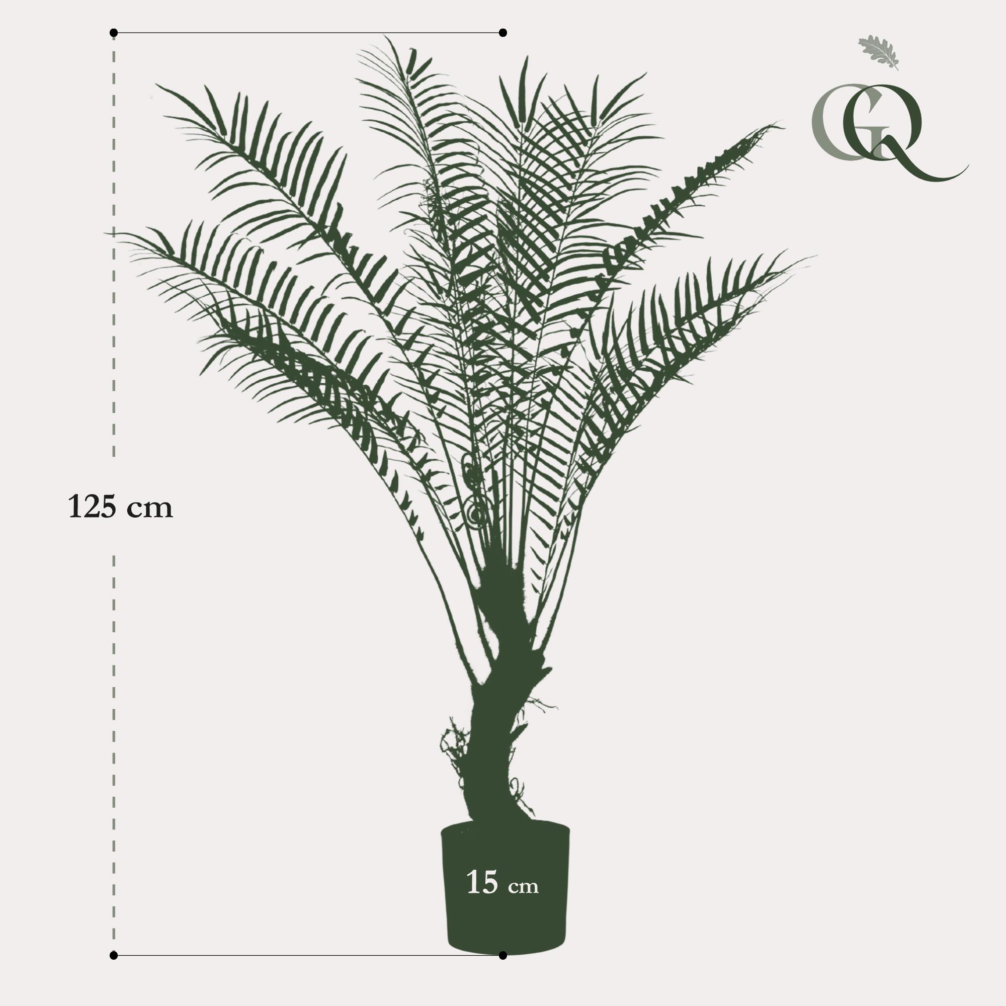 Kunstplant en pot. Plante verte type Kunstplant, livrée en pot, idéale pour intérieur lumineux. – Image 3