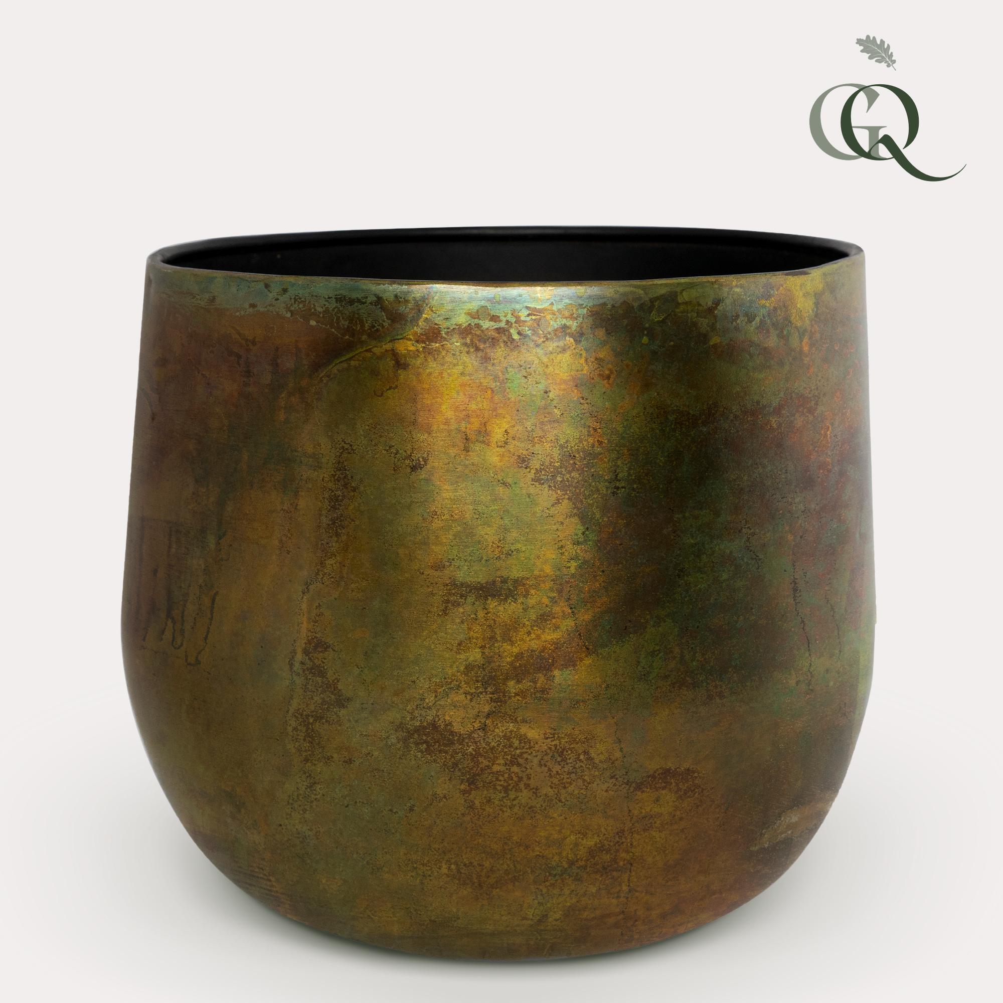 Pot en pot  Hauteur 24cm. Plante verte type Pot, livrée en pot, idéale pour intérieur lumineux.