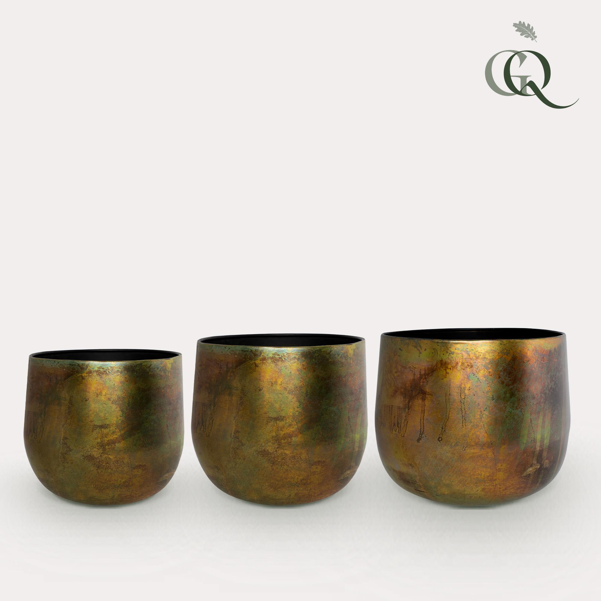 Pot en pot. Plante verte type Pot, livrée en pot, idéale pour intérieur lumineux.