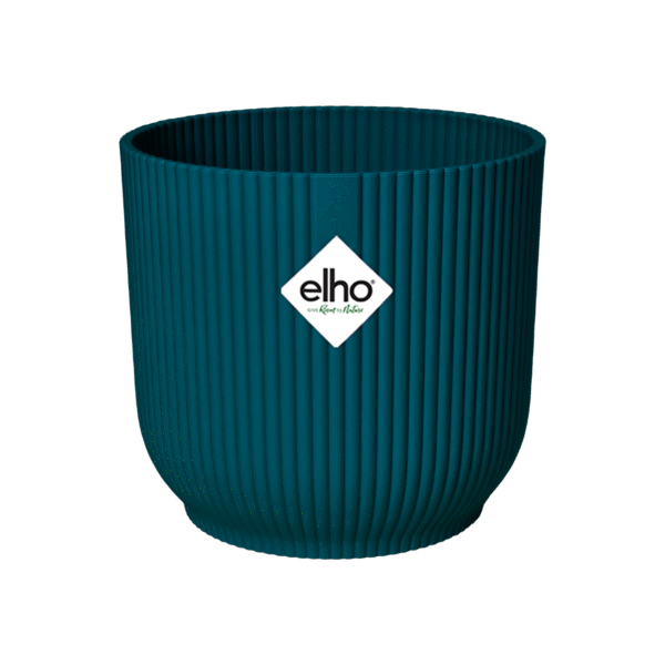 Pot elho Vibes Fold Round blauw en pot  Hauteur 17cm. Plante verte type Pot elho Vibes Fold Round blauw, livrée en pot, idéale pour intérieur lumineux. – Image 2