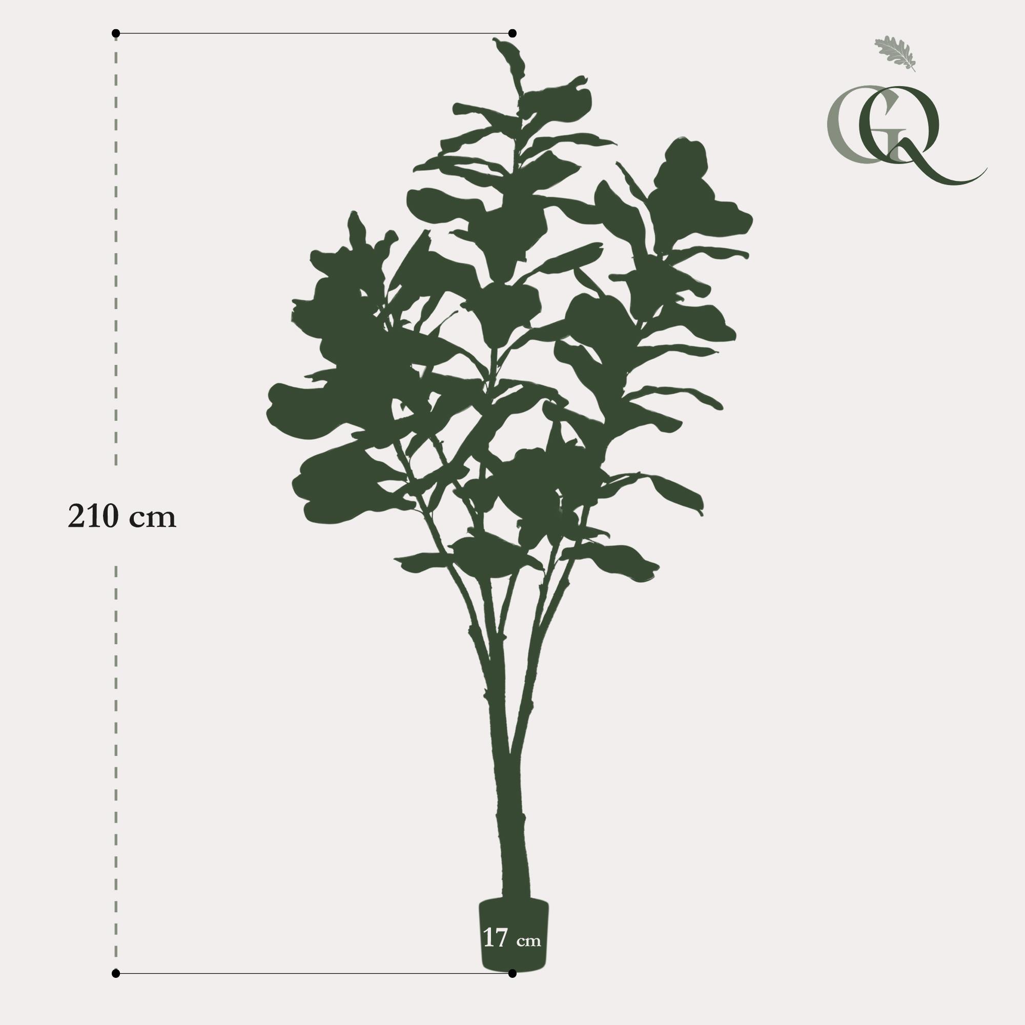 Kunstplant en pot. Plante verte type Kunstplant, livrée en pot, idéale pour intérieur lumineux. – Image 3