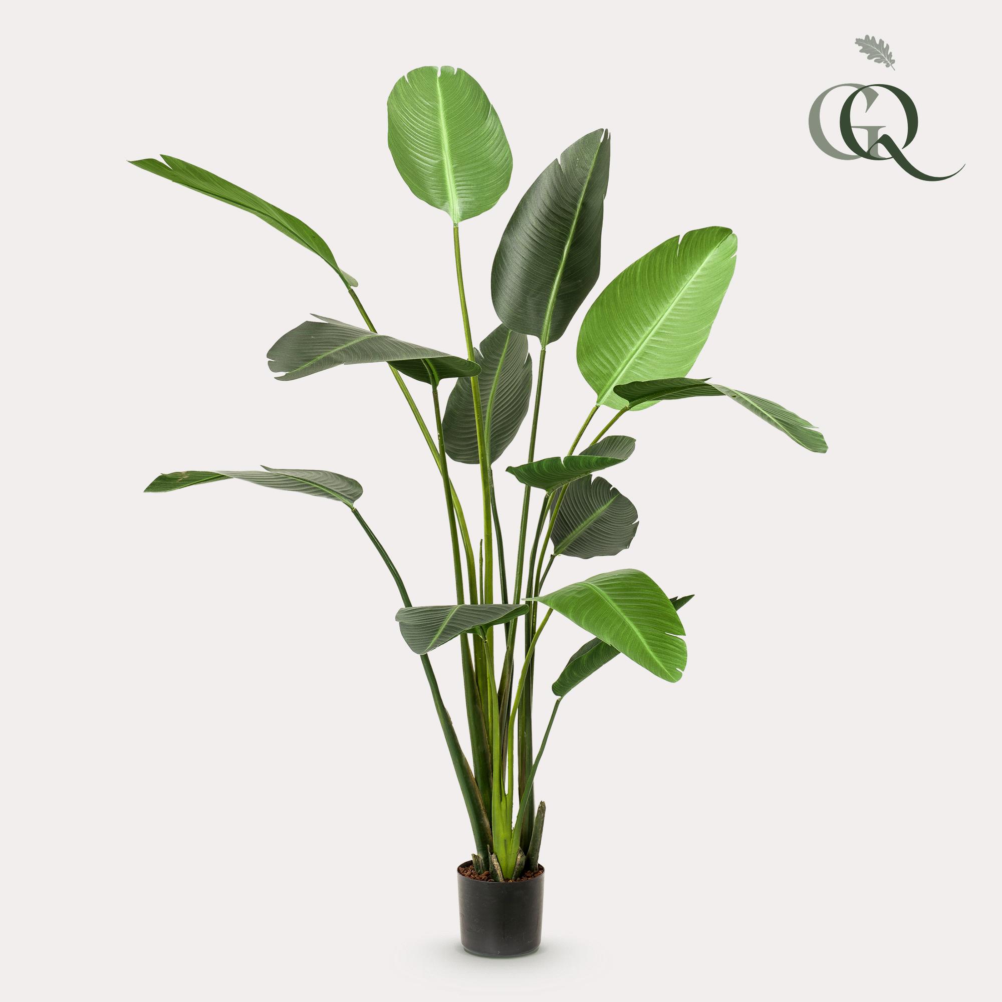 Kunstplant en pot. Plante verte type Kunstplant, livrée en pot, idéale pour intérieur lumineux.