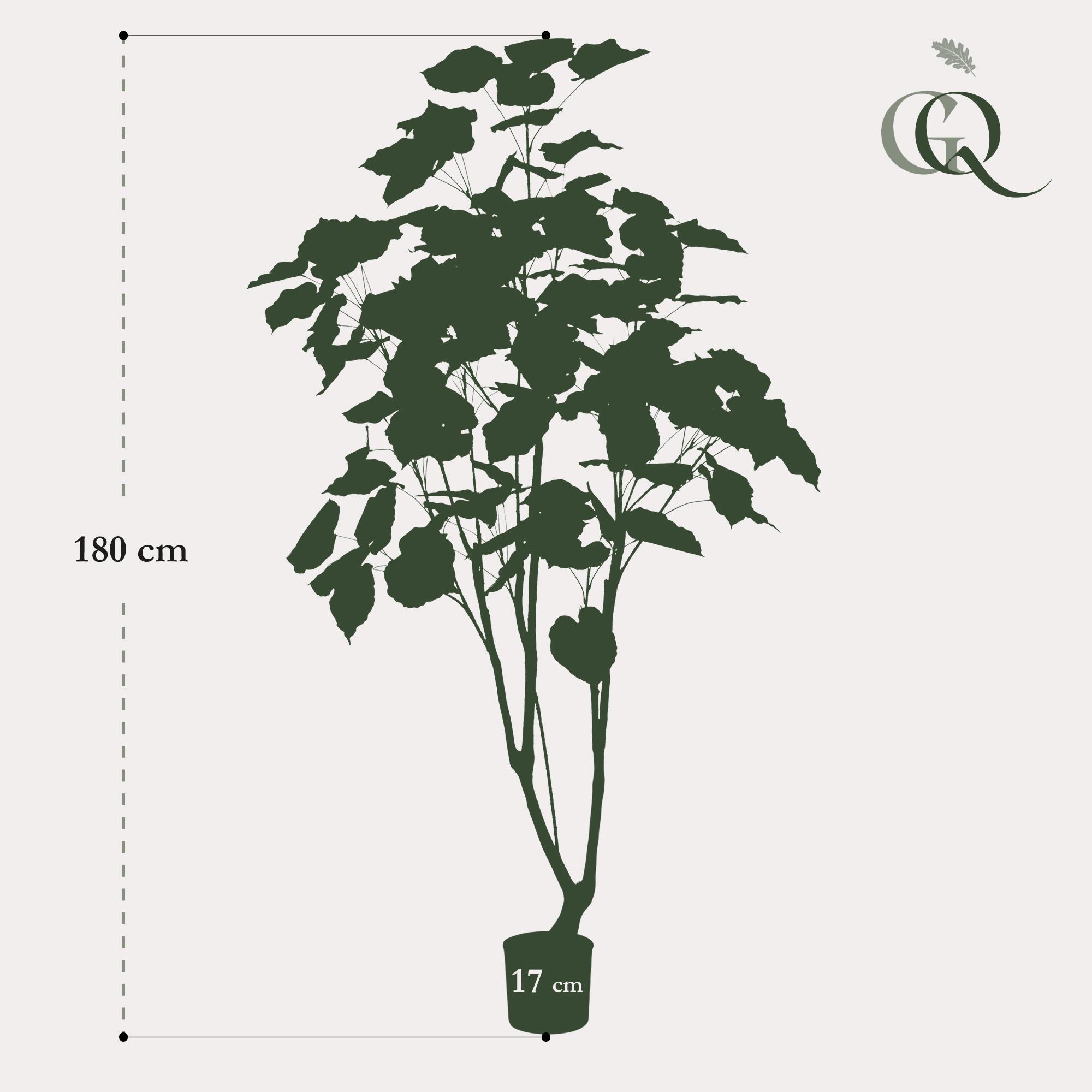 Kunstplant en pot. Plante verte type Kunstplant, livrée en pot, idéale pour intérieur lumineux. – Image 3