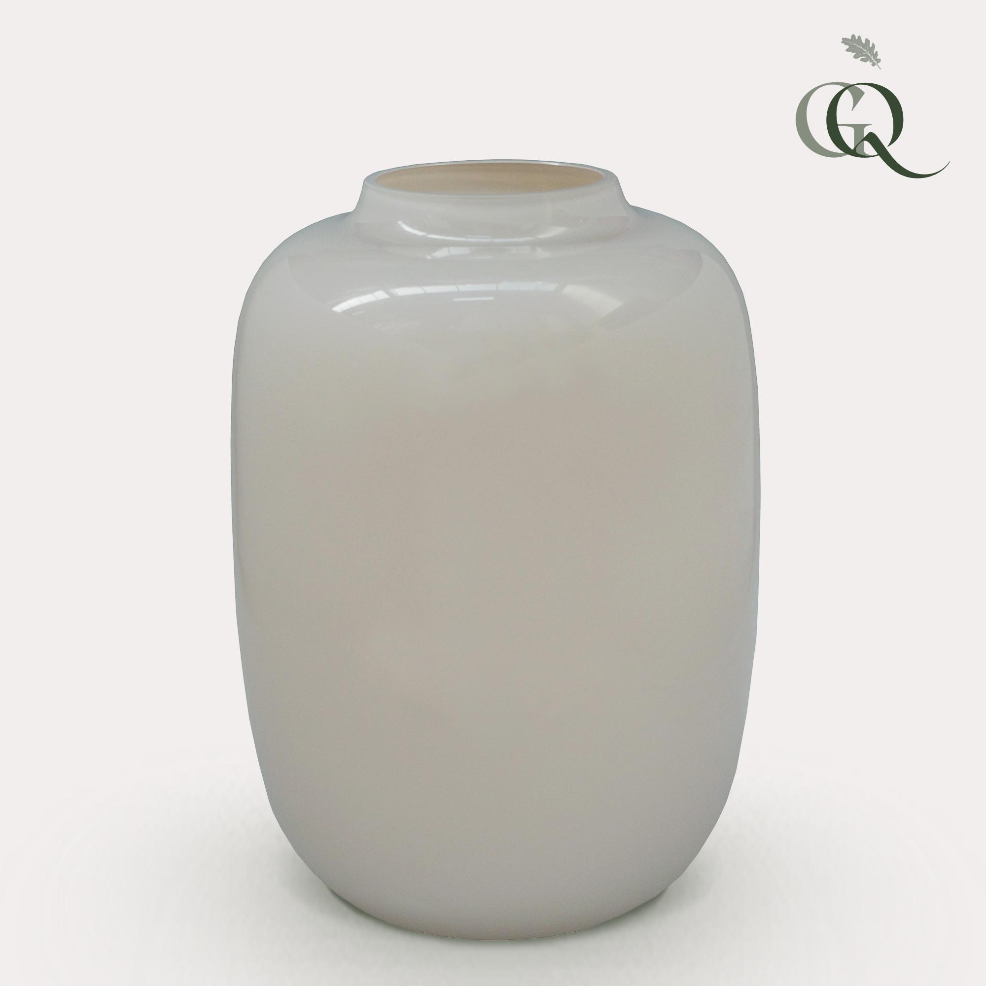 Vaas glas en pot  Hauteur 35cm. Plante verte type Vaas glas, livrée en pot, idéale pour intérieur lumineux.