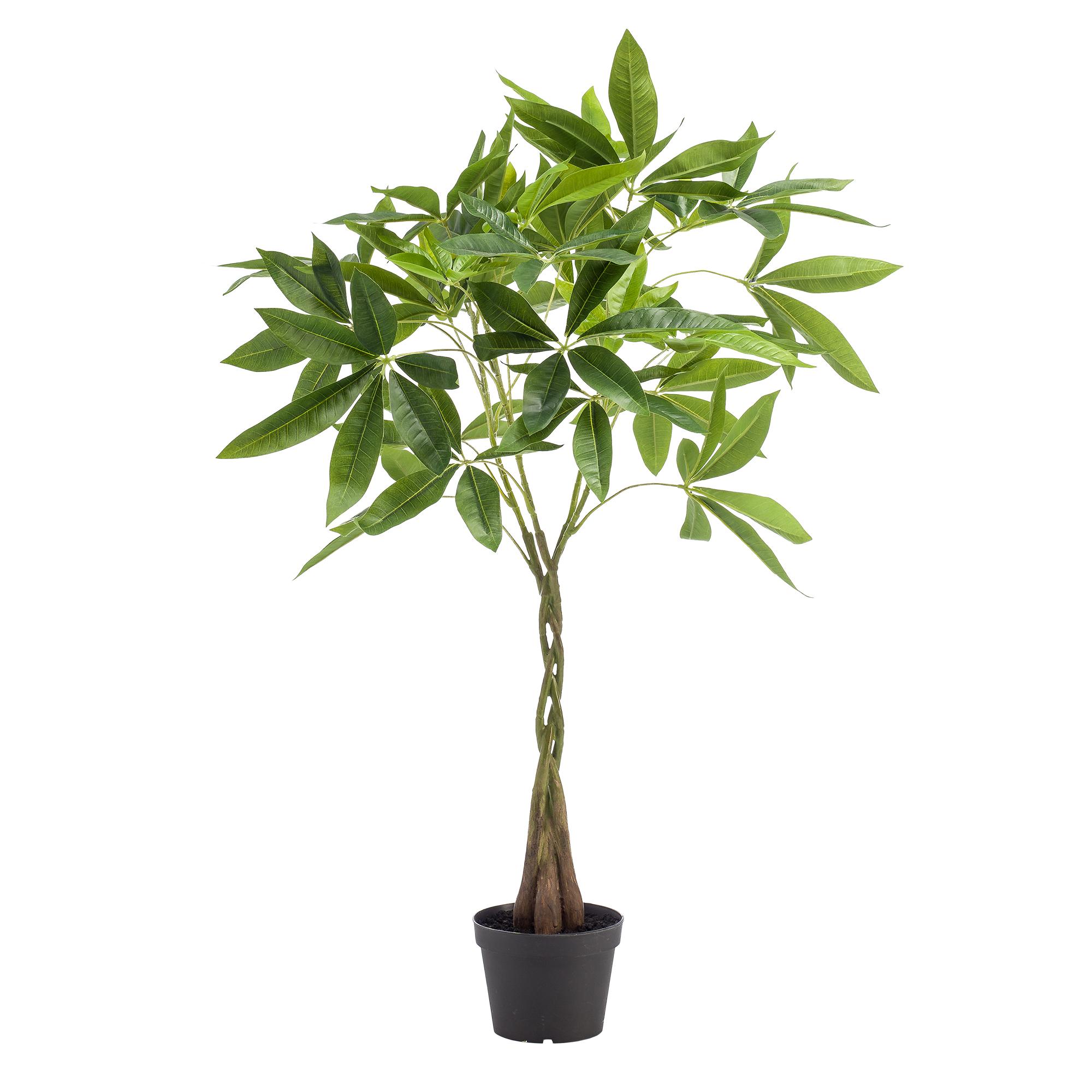 kunstplant en pot. Plante verte type kunstplant, livrée en pot, idéale pour intérieur lumineux. – Image 4