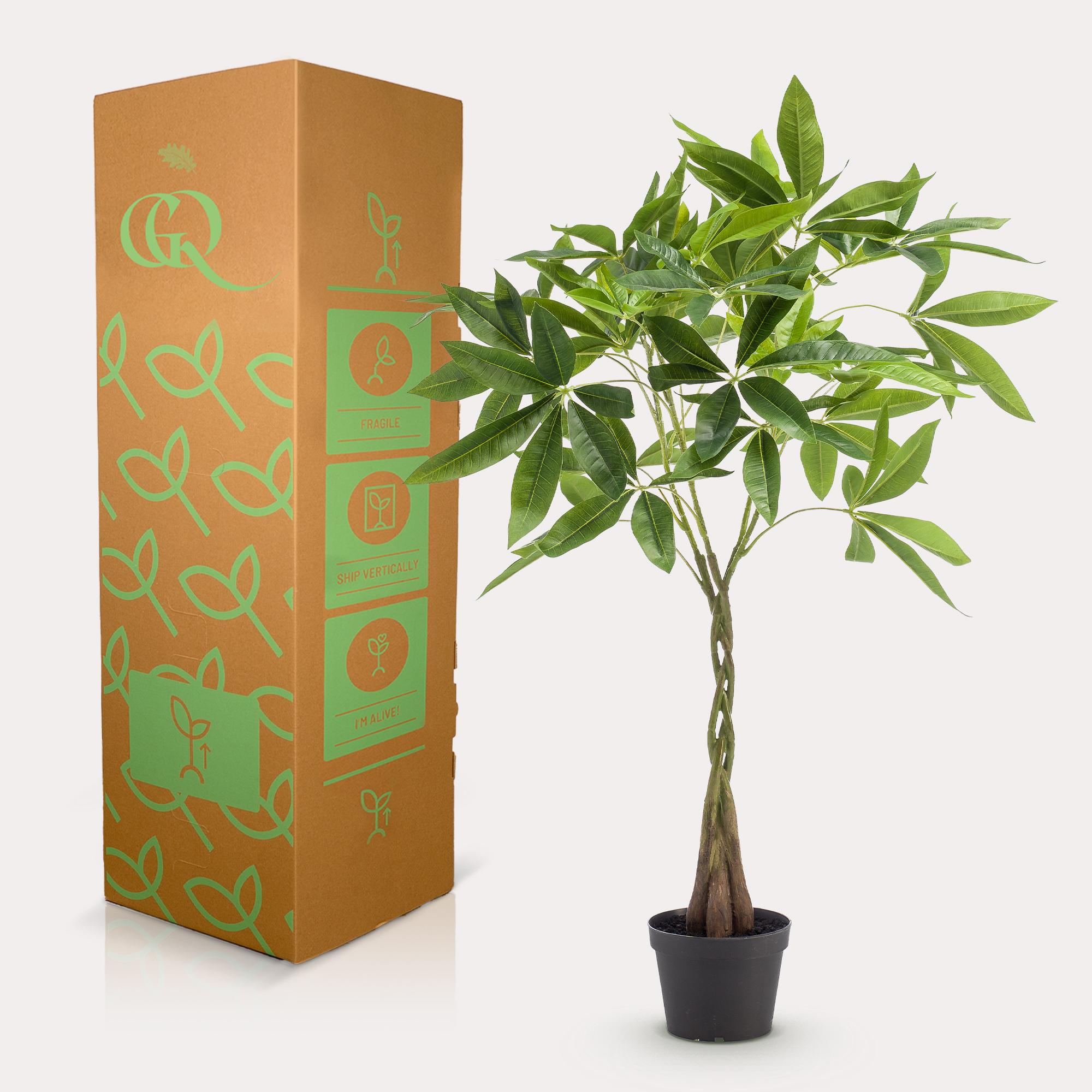 kunstplant en pot. Plante verte type kunstplant, livrée en pot, idéale pour intérieur lumineux. – Image 5