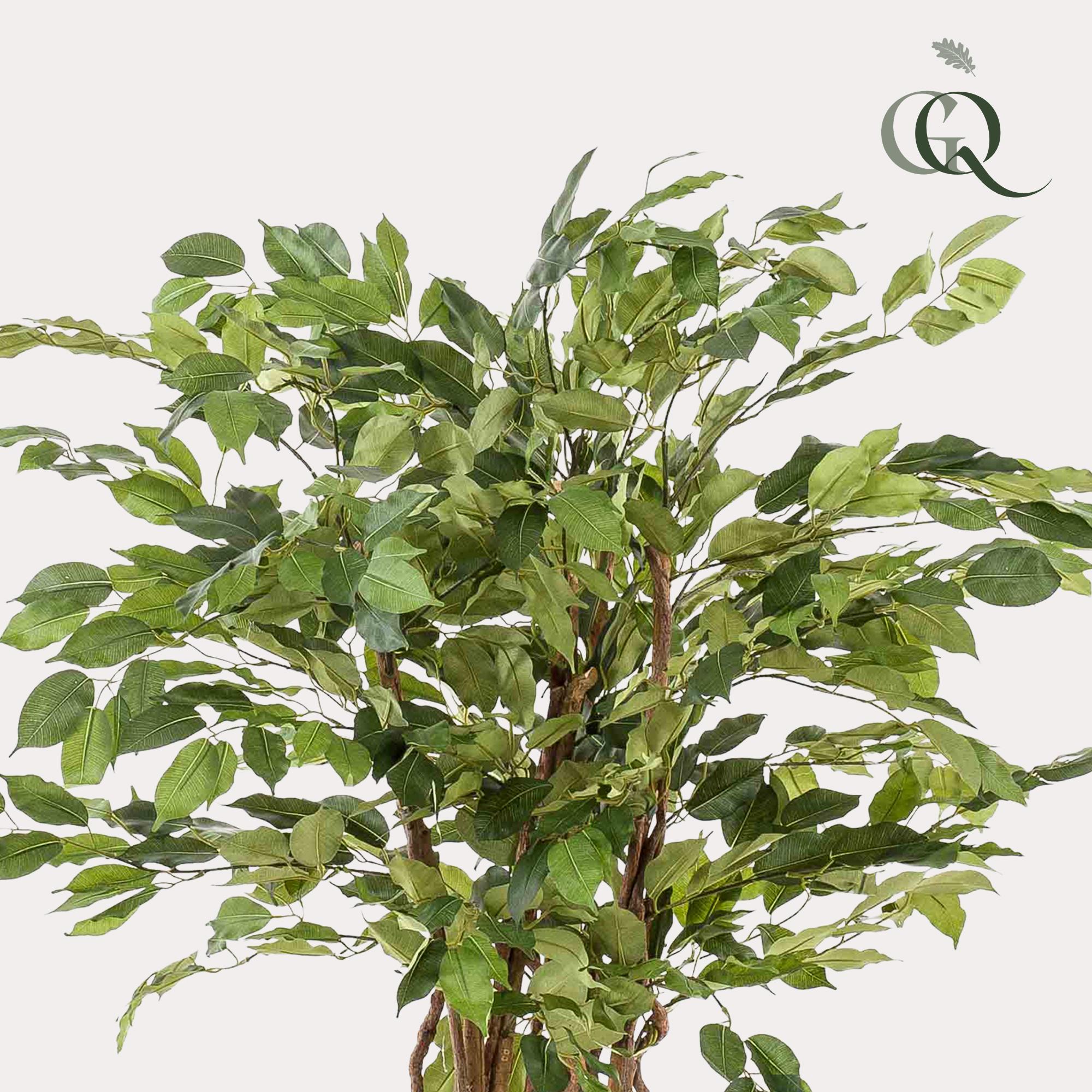 kunstplant en pot. Plante verte type kunstplant, livrée en pot, idéale pour intérieur lumineux. – Image 2