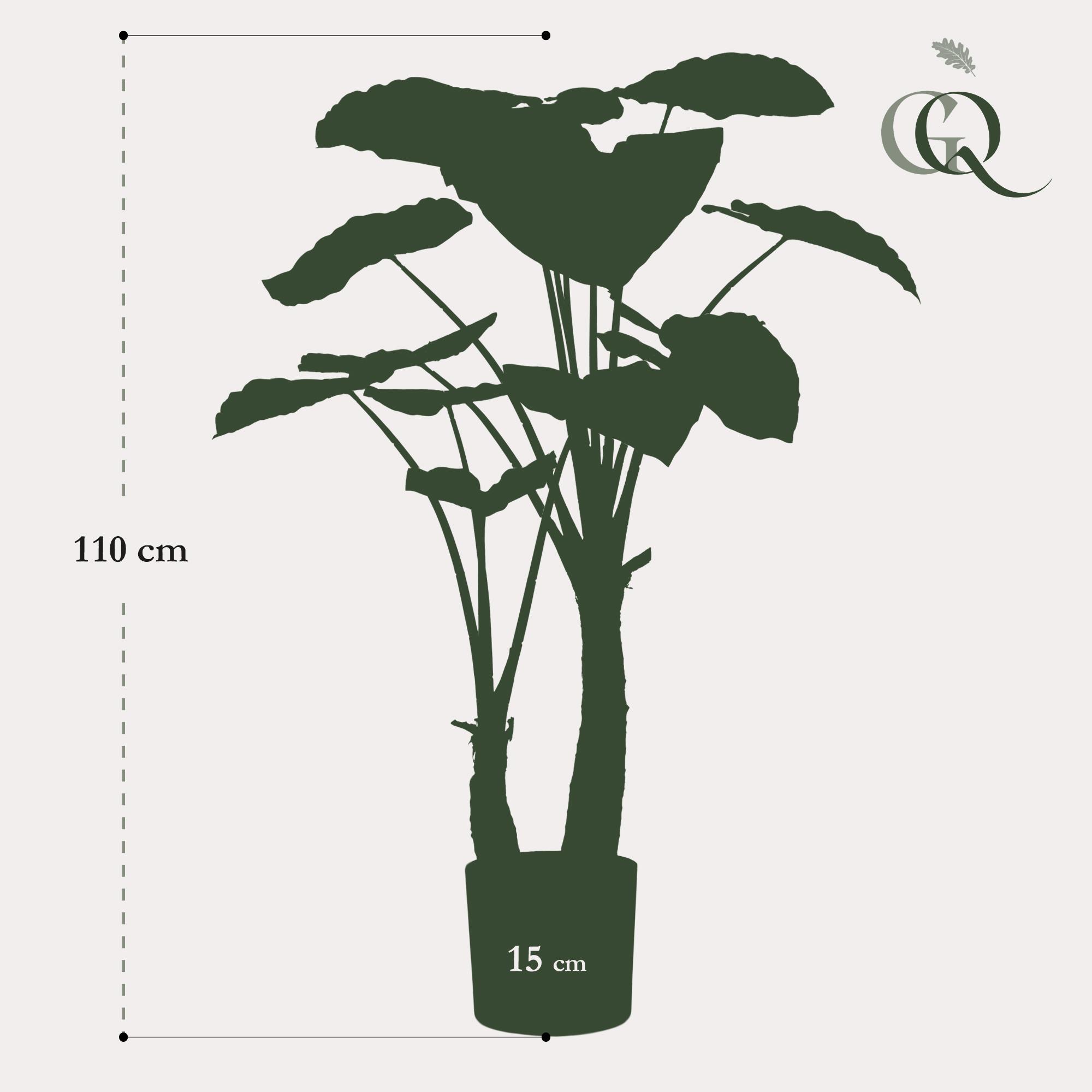 kunstplant en pot. Plante verte type kunstplant, livrée en pot, idéale pour intérieur lumineux. – Image 3