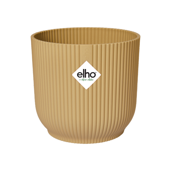 Pot elho Vibes Fold Round geel en pot  Hauteur 13cm. Plante verte type Pot elho Vibes Fold Round geel, livrée en pot, idéale pour intérieur lumineux. – Image 2
