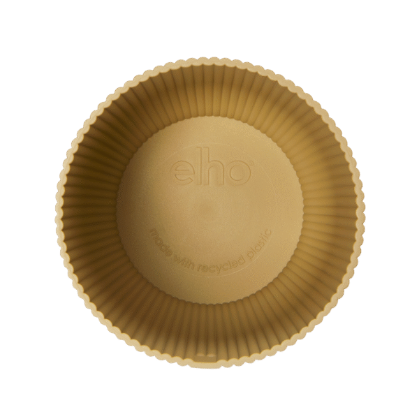 Pot elho Vibes Fold Round geel en pot  Hauteur 13cm. Plante verte type Pot elho Vibes Fold Round geel, livrée en pot, idéale pour intérieur lumineux. – Image 4