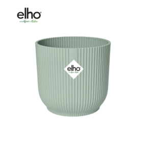 Pot elho Vibes Fold Round groen en pot  Hauteur 13cm. Plante verte type Pot elho Vibes Fold Round groen, livrée en pot, idéale pour intérieur lumineux.