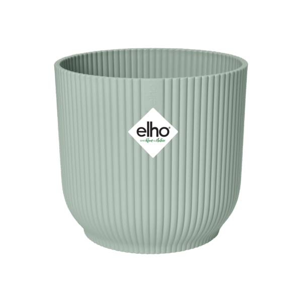 Pot elho Vibes Fold Round groen en pot  Hauteur 13cm. Plante verte type Pot elho Vibes Fold Round groen, livrée en pot, idéale pour intérieur lumineux. – Image 2