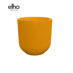 Pot elho Jazz Round amber yellow en pot  Hauteur 24cm. Plante verte type Pot elho Jazz Round amber yellow, livrée en pot, idéale pour intérieur lumineux.