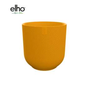 Pot elho Jazz Round amber yellow en pot  Hauteur 13cm. Plante verte type Pot elho Jazz Round amber yellow, livrée en pot, idéale pour intérieur lumineux.
