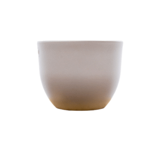Pot Eggy Taupé en pot  Hauteur 43cm. Plante verte type Pot Eggy Taupé, livrée en pot, idéale pour intérieur lumineux.