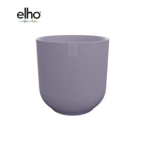 Pot elho Jazz Round lavender lilac en pot  Hauteur 21cm. Plante verte type Pot elho Jazz Round lavender lilac, livrée en pot, idéale pour intérieur lumineux.