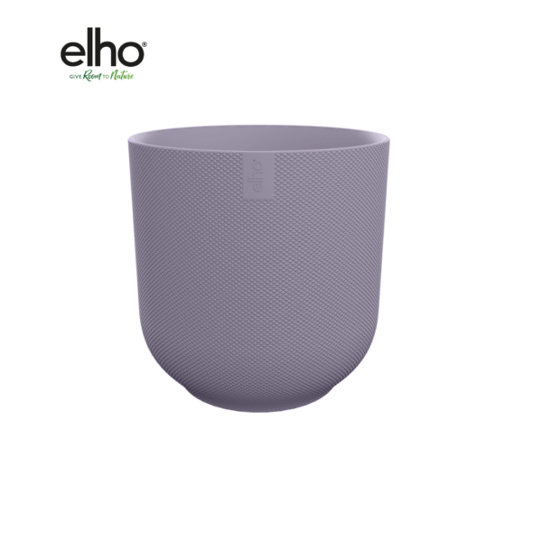 Pot elho Jazz Round lavender lilac en pot  Hauteur 13cm. Plante verte type Pot elho Jazz Round lavender lilac, livrée en pot, idéale pour intérieur lumineux.