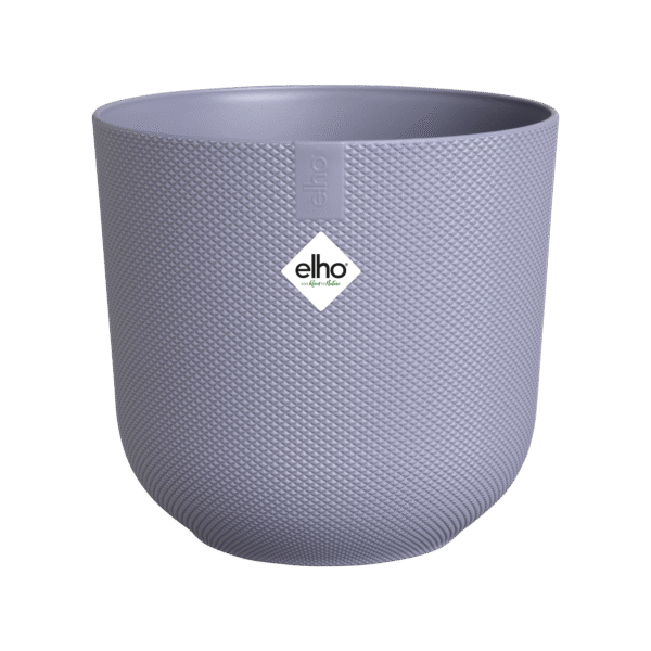 Pot elho Jazz Round lavender lilac en pot  Hauteur 13cm. Plante verte type Pot elho Jazz Round lavender lilac, livrée en pot, idéale pour intérieur lumineux. – Image 2