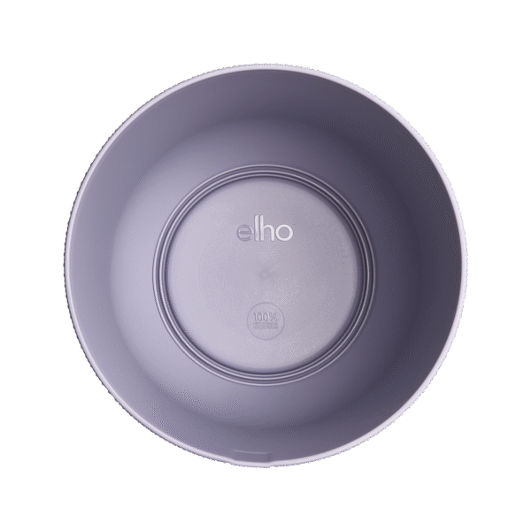 Pot elho Jazz Round lavender lilac en pot  Hauteur 13cm. Plante verte type Pot elho Jazz Round lavender lilac, livrée en pot, idéale pour intérieur lumineux. – Image 3