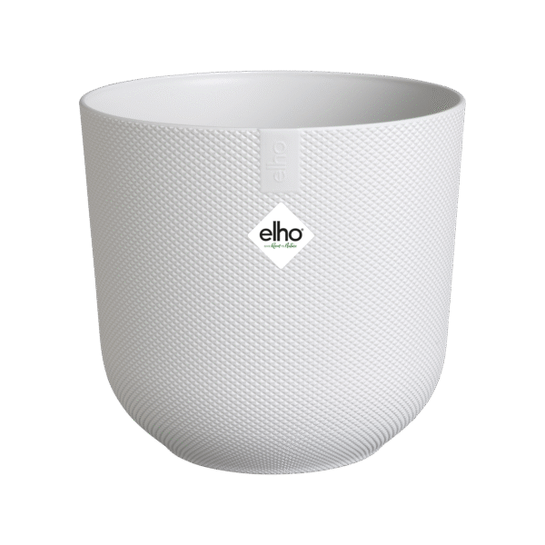 Pot elho Jazz Round wit en pot  Hauteur 24cm. Plante verte type Pot elho Jazz Round wit, livrée en pot, idéale pour intérieur lumineux. – Image 2