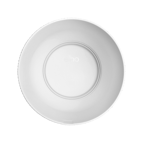 Pot elho Jazz Round wit en pot  Hauteur 24cm. Plante verte type Pot elho Jazz Round wit, livrée en pot, idéale pour intérieur lumineux. – Image 3