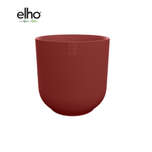 Pot elho Jazz Round tuscan red en pot  Hauteur 13cm. Plante verte type Pot elho Jazz Round tuscan red, livrée en pot, idéale pour intérieur lumineux.