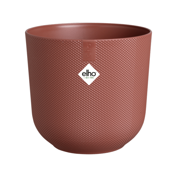 Pot elho Jazz Round tuscan red en pot  Hauteur 13cm. Plante verte type Pot elho Jazz Round tuscan red, livrée en pot, idéale pour intérieur lumineux. – Image 2