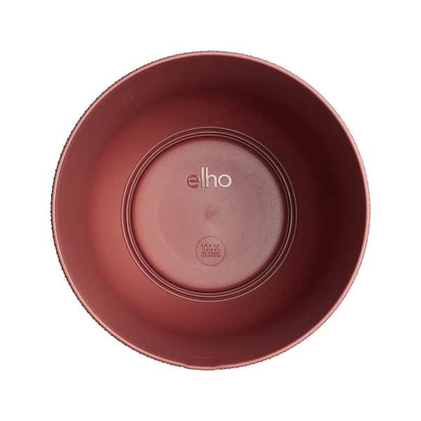 Pot elho Jazz Round tuscan red en pot  Hauteur 13cm. Plante verte type Pot elho Jazz Round tuscan red, livrée en pot, idéale pour intérieur lumineux. – Image 4