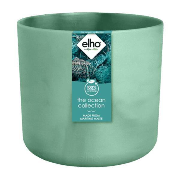 Pot Elho Ocean Round pacific green en pot  Hauteur 20cm. Plante verte type Pot Elho Ocean Round pacific green, livrée en pot, idéale pour intérieur lumineux. – Image 2