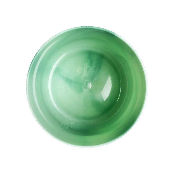 Pot Elho Ocean Round pacific green en pot  Hauteur 20cm. Plante verte type Pot Elho Ocean Round pacific green, livrée en pot, idéale pour intérieur lumineux. – Image 4