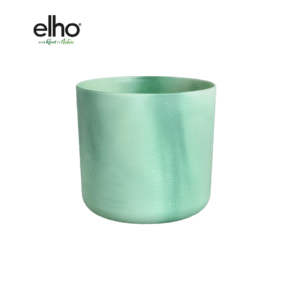 Pot Elho Ocean Round pacific green en pot  Hauteur 13cm. Plante verte type Pot Elho Ocean Round pacific green, livrée en pot, idéale pour intérieur lumineux.