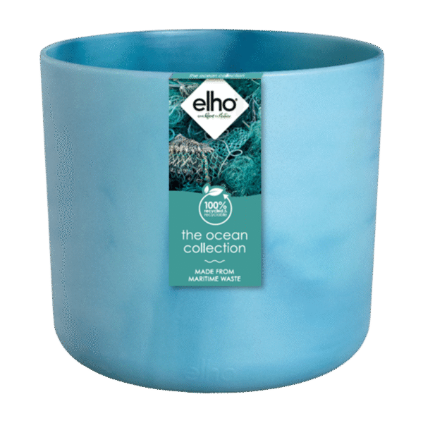Pot Elho Ocean Round atlantic blue en pot  Hauteur 20cm. Plante verte type Pot Elho Ocean Round atlantic blue, livrée en pot, idéale pour intérieur lumineux. – Image 2
