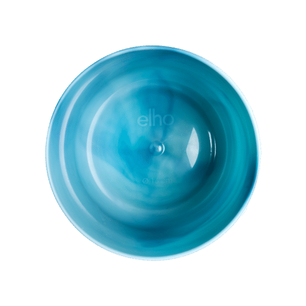Pot Elho Ocean Round atlantic blue en pot  Hauteur 20cm. Plante verte type Pot Elho Ocean Round atlantic blue, livrée en pot, idéale pour intérieur lumineux. – Image 4