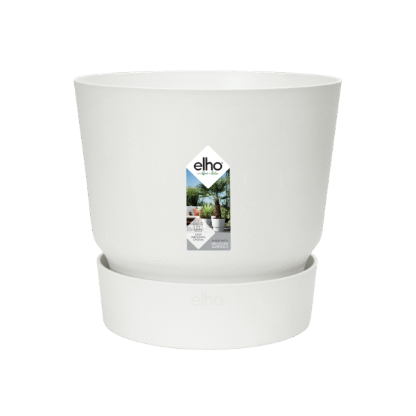 Pot elho Greenville Round wit en pot  Hauteur 23cm. Plante verte type Pot elho Greenville Round wit, livrée en pot, idéale pour intérieur lumineux. – Image 2