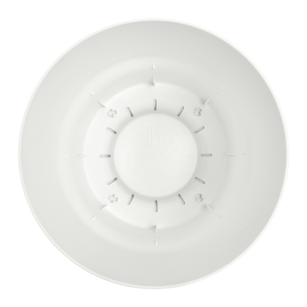 Pot elho Greenville Round wit en pot  Hauteur 23cm. Plante verte type Pot elho Greenville Round wit, livrée en pot, idéale pour intérieur lumineux. – Image 4