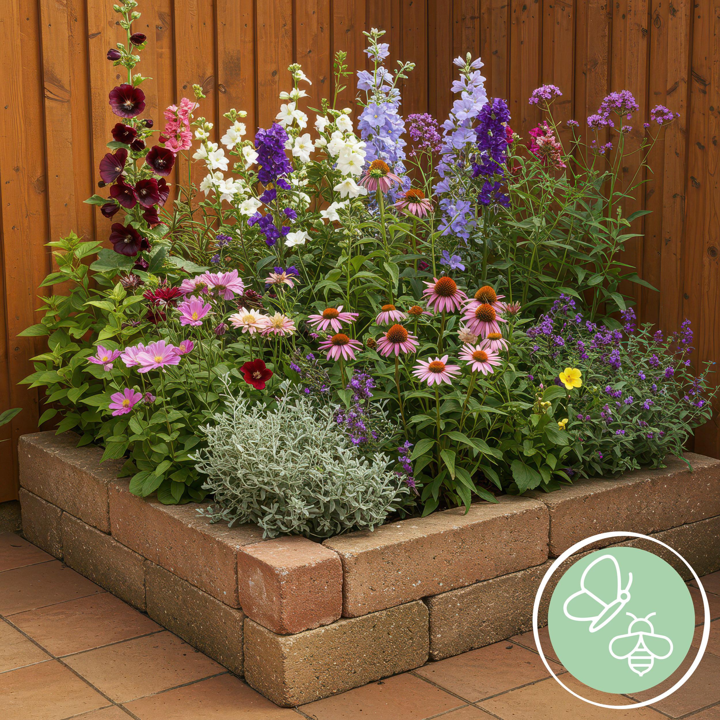 Green boutiQ en pot. Plante verte type Green boutiQ, livrée en pot, idéale pour intérieur lumineux. – Image 4