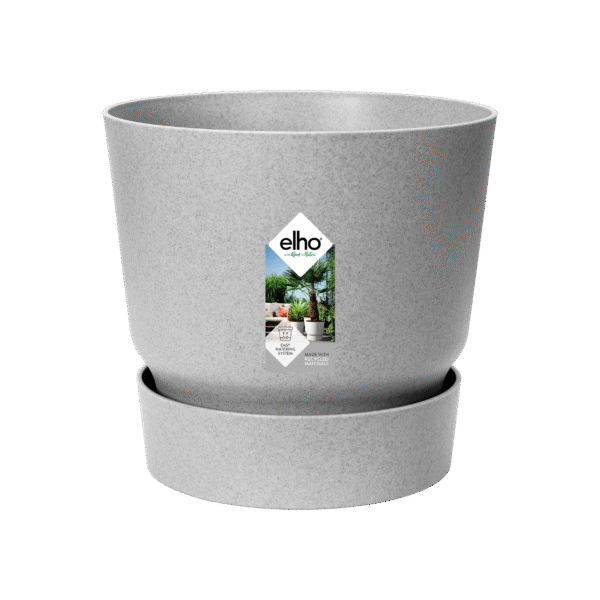 Pot elho Greenville Round grijs en pot  Hauteur 17cm. Plante verte type Pot elho Greenville Round grijs, livrée en pot, idéale pour intérieur lumineux. – Image 2